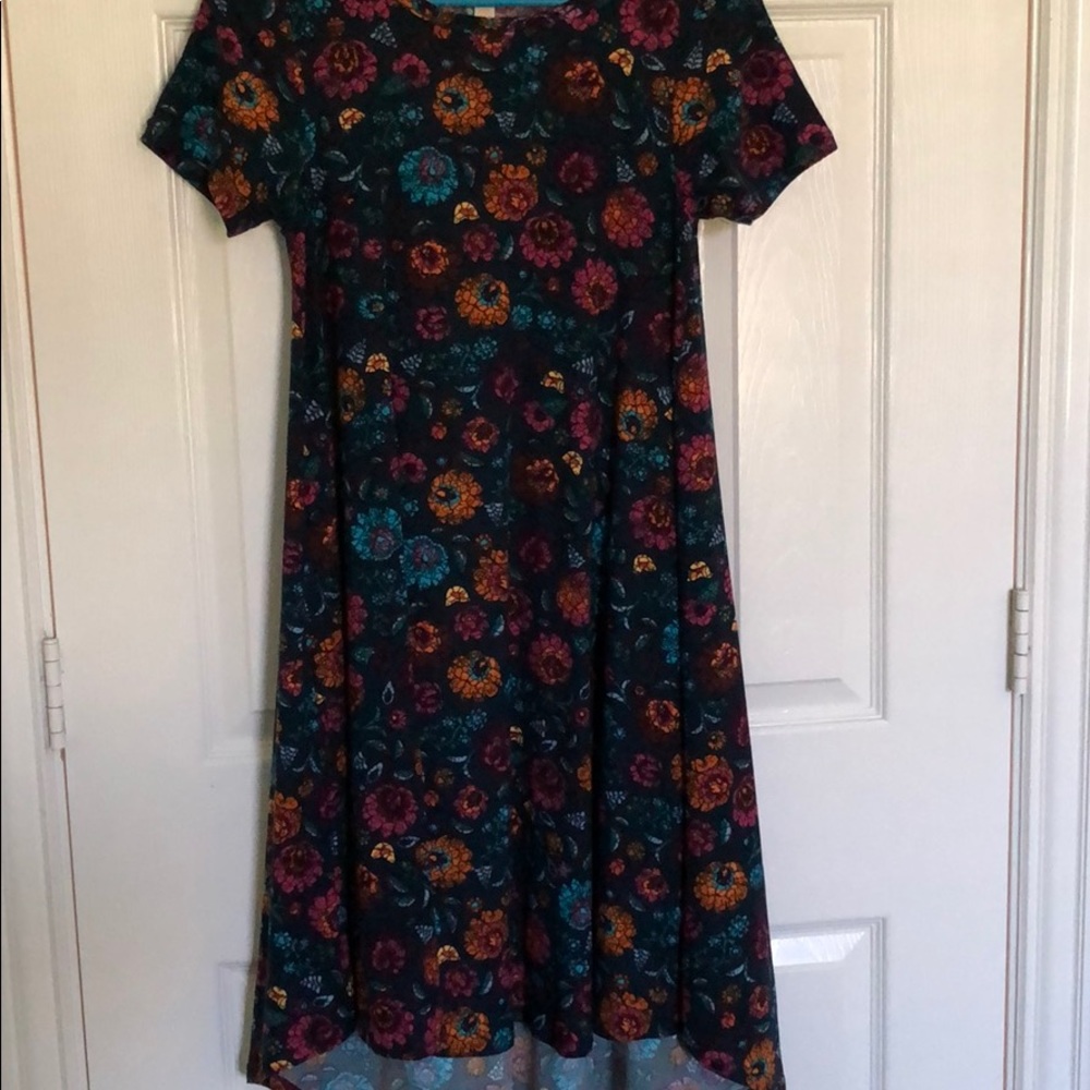 Sweater material lularoe dress